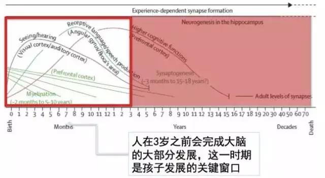 童年時父母陪伴孩子的方式，決定孩子的智商甚至一生