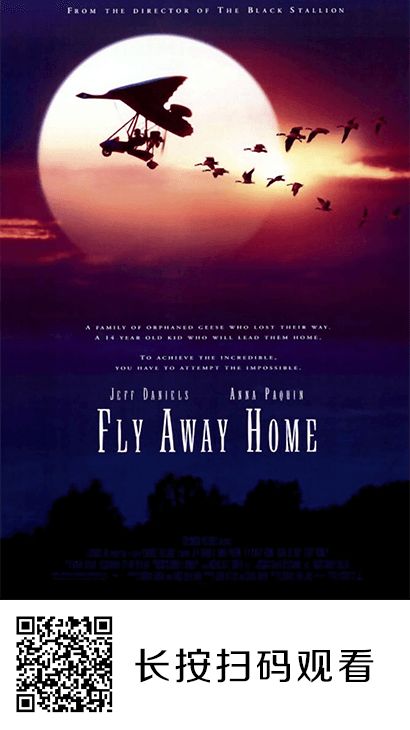 fly away home